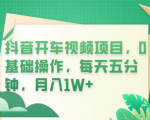 0基础也能月入1W+！每天只需五分钟，快速上手学会抖音开车视频赚钱项目！
