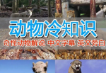超值国外纪录片解说！动物、美食、动画等中视频轻松通过！
