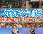 超值国外纪录片解说！动物、美食、动画等中视频轻松通过！