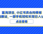 轻松赚钱！小红书卖合同模板项目揭秘！带你实现无脑搬运日入600+！
