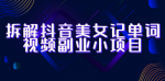 教你如何快速赚取额外收入！抖音视频副业小项目，揭秘成功的秘诀！