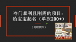 给宝宝起名冷门暴利商机揭秘！教程+工具助你轻松赚钱日入300+！