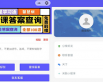 网课搜题利器，微信小程序题库源码，助你成为学习高手！