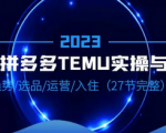 掌握跨境拼多多平台运营技巧，怎么快速选品以及运营干货分享！