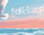 单天1000+的视频号蓝海项目，玩转视频号的变现全流程保姆级教程！