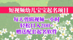 项目实战干货！零成本宝宝起名项目，长期可操作，日入200+！