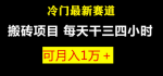 冷门且赚钱的副业项目，易落地上手没难度！小白零基础也可以附教程软件！