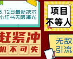 小红书最新引流，轻松日引100+粉，小白都可以操作！这个引流方法一定要学！