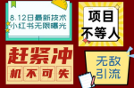 小红书最新引流，轻松日引100+粉，小白都可以操作！这个引流方法一定要学！