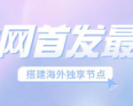 海外抖音运营要准备的第一步，纯干货！TK加速器一键搭建Tiktok国外节点！