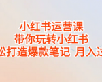 小红书运营培训干货课程，手把手教你从0到1运营小红书月入10000+的账号！