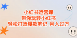 小红书运营培训干货课程，手把手教你从0到1运营小红书月入10000+的账号！