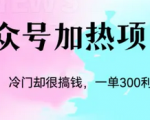 冷门蓝海赛道公众号项目，人人可操作的副业项目，单日400+!