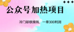冷门蓝海赛道公众号项目，人人可操作的副业项目，单日400+!