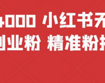 小红书吸金暴力引流法！教你获取高质量创业粉丝教程，价值4000 +！