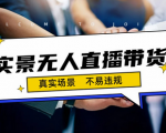 手把手教你实景无人直播带货最新玩法！变现容易月入10000+，保姆级教程！