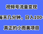 玩转视频号的赚钱项目，变现全流程！每天简单操作即可收入100+！
