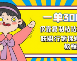 联盟项目实操保姆级教程！简单操作长期稳定，月入10000+！