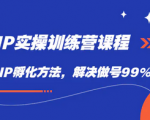 IP实战训练，从0到1打造个人自媒体，手把手帮你打通内容，引流，变现完整解决方案！