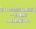 从玩家到赚家！口袋觉醒私服手游教程工具资料，一台电脑带你轻松1w+！