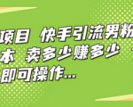 一个日入1000+的项目，一部手机即可操作，揭秘男粉变现的暴利项目！