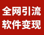 带你们分享一个人人可做，全网引流软件虚拟资源变现项目，月入10000+！