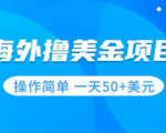 想不想薅国外的羊毛月入四位数！美金项目无门槛操作简单！