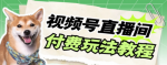 揭秘视频号无人直播美女玩法变现项目教程，月入1000+！