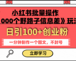 揭秘你不知道的最新1000个野路子信息差玩法，每天能引100+个粉，操作简单易上手！