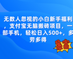 揭秘支付宝无脑搬砖项目：一部手机，轻松日入500+的秘密操作