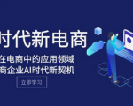 AI时代的电商革命！探索Al在电商企业领域的无限可能