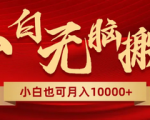 创新玩法让你每天轻松赚1000+！多账号扩张，无脑搬运视频不再是梦想！