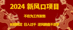 2024年最火爆投资项目，告别工作焦虑，长期稳定日收入过千，逆风翻盘成为现实！