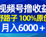 如何用野路子撸出100%原创的视频号爆款，月入6000+？