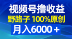 如何用野路子撸出100%原创的视频号爆款，月入6000+？