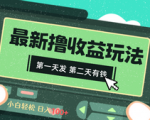 精彩揭秘！2024最新撸视频赚钱攻略，轻松第一天开始赚钱！