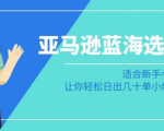 新手卖家必看！亚马逊蓝海选品秘籍！日销爆增，轻松打造爆款小商品