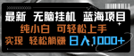 独家零基础必看！无脑挂机蓝海项目，轻松日赚1000+！