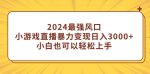 2024最强风口，每日轻松赚取3000+！小白也能玩转的暴力直播小游戏！