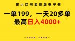 小红书疯狂卖绝版电子书，一单199，单日最高赚4000+！教程+资料