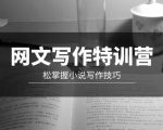 掌握小说写作技巧的必备特训，开启网文创作新篇章！（20节视频课）