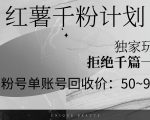 通过红薯千粉回收计划实现单账号50+收益，矩阵操作揭秘！