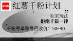 通过红薯千粉回收计划实现单账号50+收益，矩阵操作揭秘！