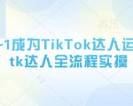 快速成为TikTok达人：全流程实操，让你成功起飞