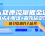 大健康流量暴利课：低成本引流+高收益变现，轻松日引百粉月入过万！